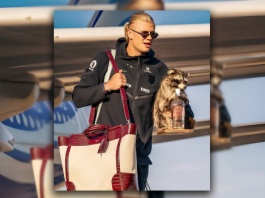 Erling Haaland’s Whiskey Raccoon Becomes the World Cup’s Most Talked-About Souvenir Images 10000 11