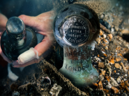 162-Year-Old Guinness Bottle Found Under the Sea: Is the Historic Beer Still Drinkable? Images 10000 02