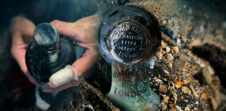 162-Year-Old Guinness Bottle Found Under the Sea: Is the Historic Beer Still Drinkable? Images 10000 02